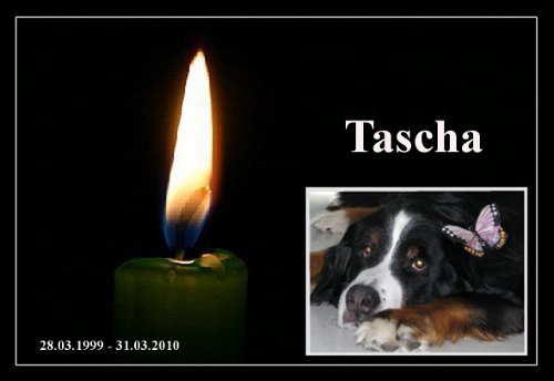 RIP Tascha RIP Tascha